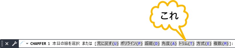 トリム オプション